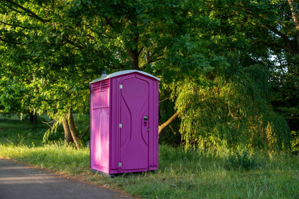Portable Toilet Options We Offer in Mineral Point, WI